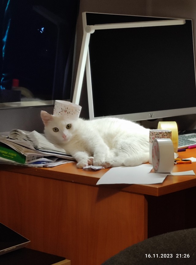 Самая последняя в галерее