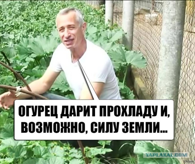Российские ученые впервые вырастили огурцы на станции Восток в Антарктиде и собрали рекордный урожай овощей