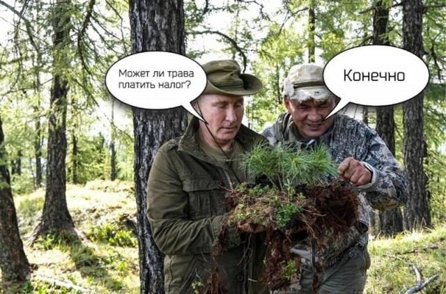 Путин посетит солнечную Чувашию, срочно начался покос травы