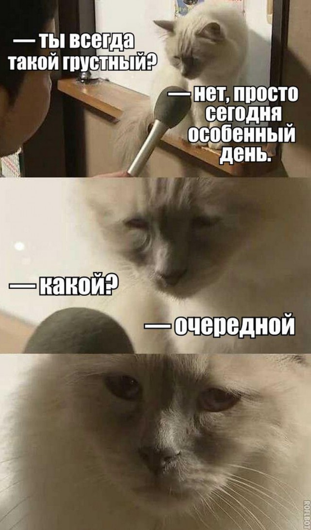 Отряд быстрого деградирования