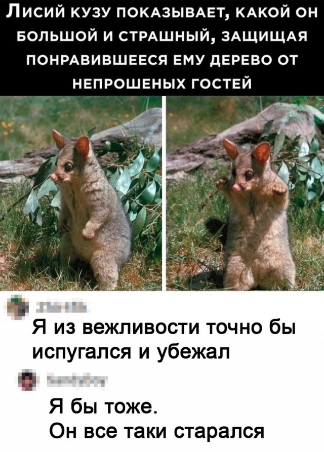 Всего понемногу. От 31.05.2024