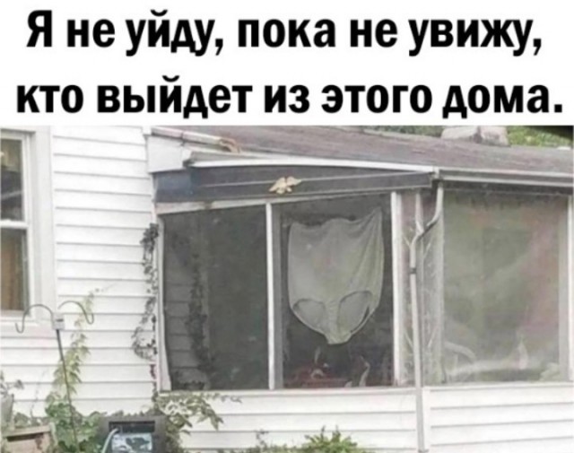 Всего понемногу. От 05.07.24