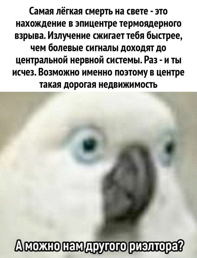 Завалялось тут случайно немного забавных картинок