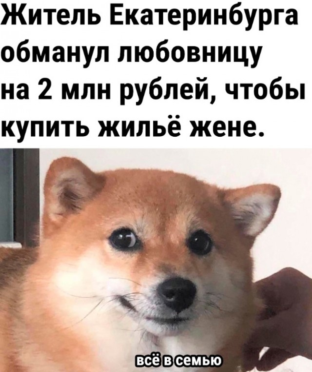 Так себе картинки 26.08.24