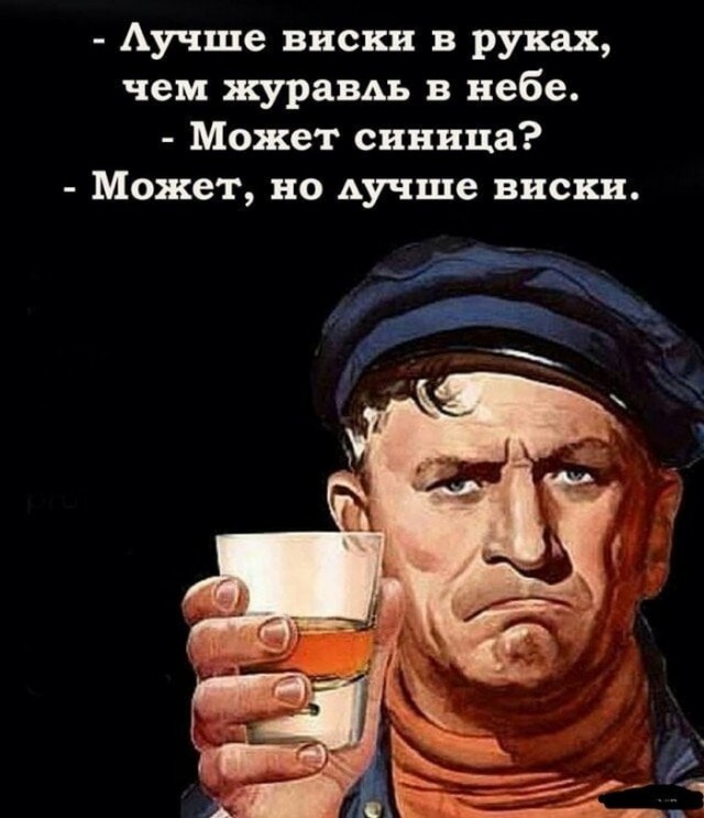 30 картинок из маршрутки №17