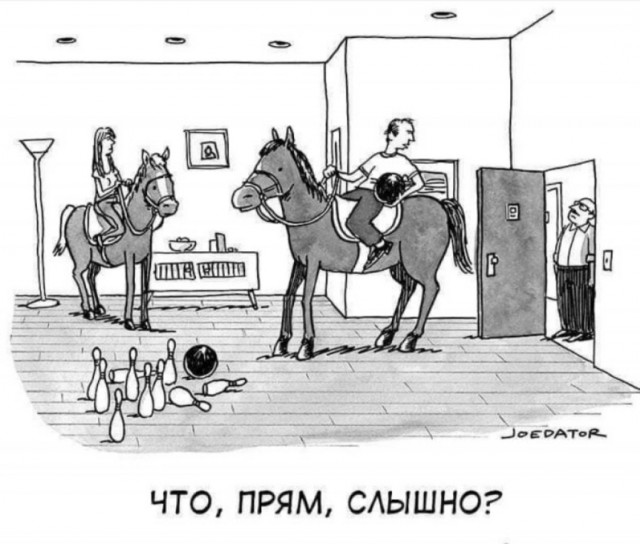 Соседи снизу