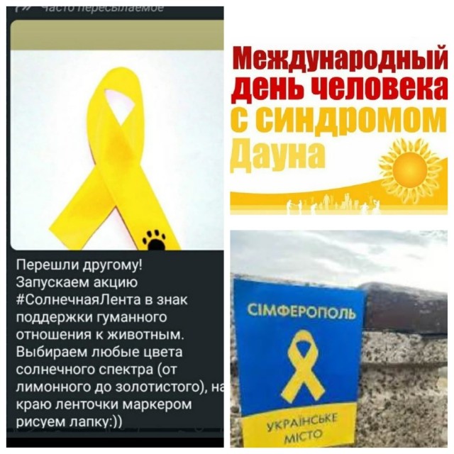 В Новосибирске более 200 человек пришли на митинг против эвтаназии животных.