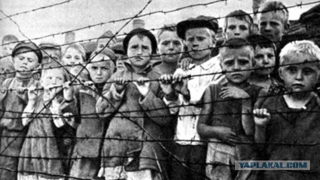‼️ Причина крушения поезда в Брянской области - подрыв, - РЖД