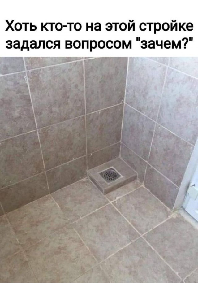 Смешные картинки с надписями и планы на лето 2025