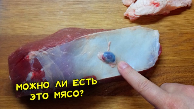 Купил на рынке мясо, а в нем плотные синие шарики. Можно есть такую говядину, если долго её отварить