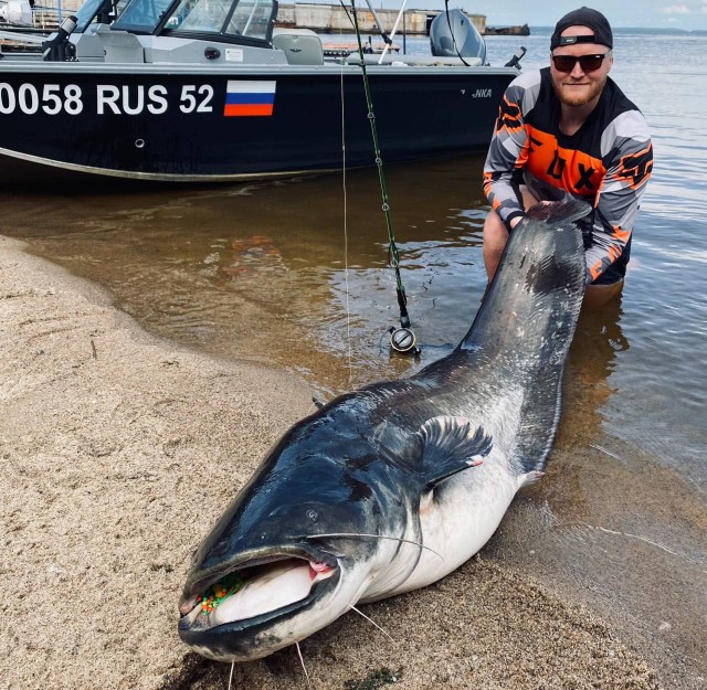 Нижегородец поймал сома-гиганта