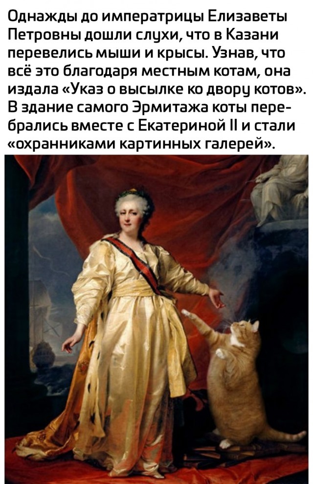 Так себе картинки 14.10.25