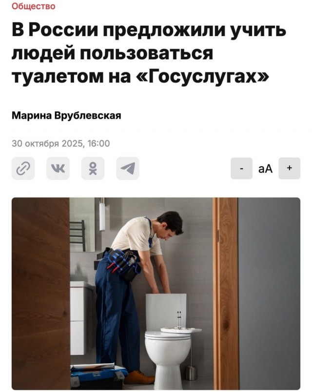 Россиян планируют обучать правильному пользованию туалетом через «Госуслуги»