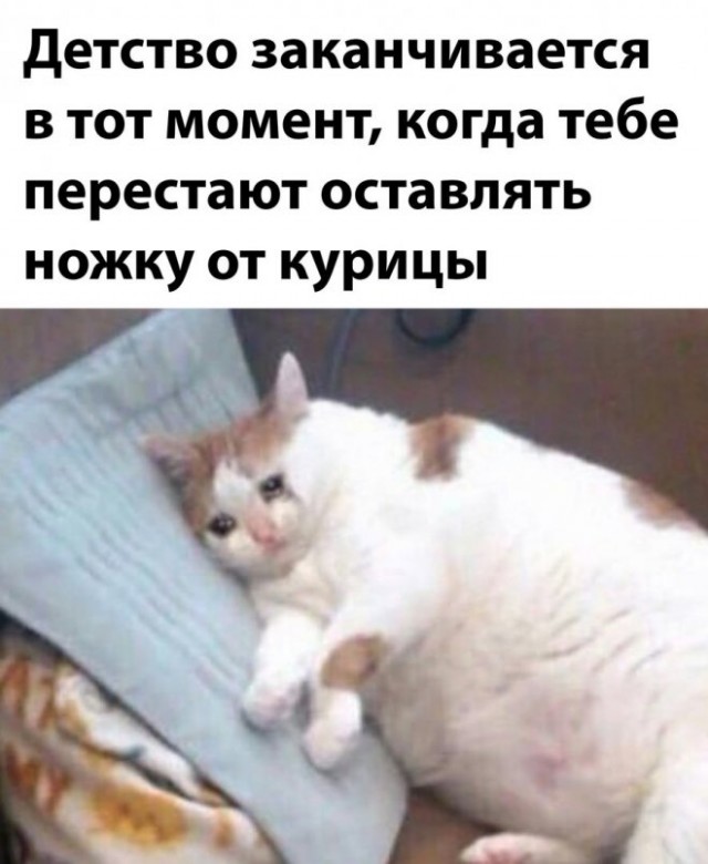 Веселые картинки в ненастоящую пятницу (31.10)