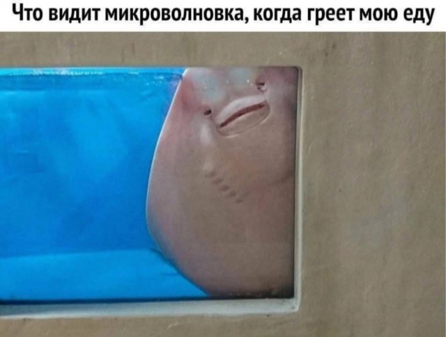 Картинки для деградации 105 (разной степени свежести)