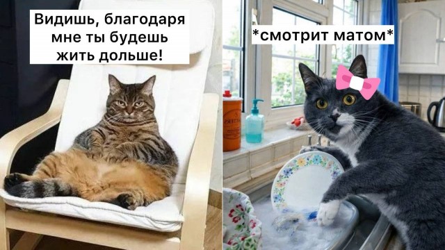 Женщины живут дольше, потому что вынуждены мыть посуду