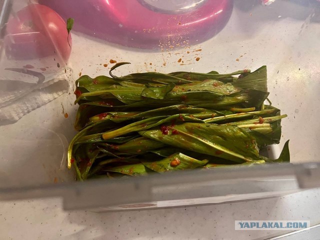 Кимчи из черемши!