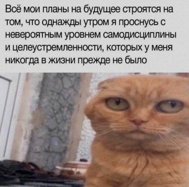 Картиночки, баянчики 12 июня