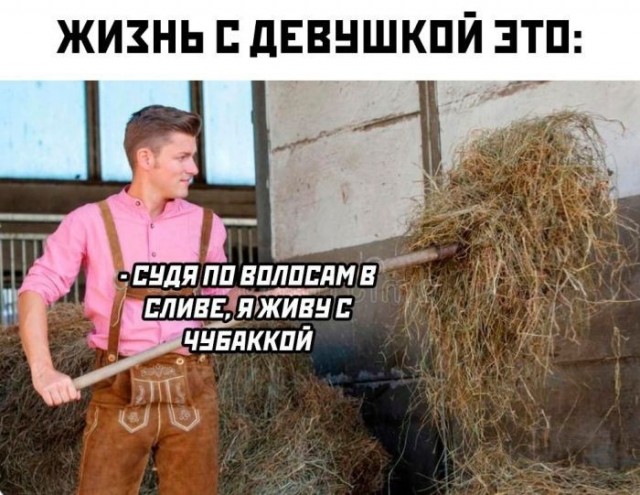Картинки для деградации 225 (разной степени свежести)