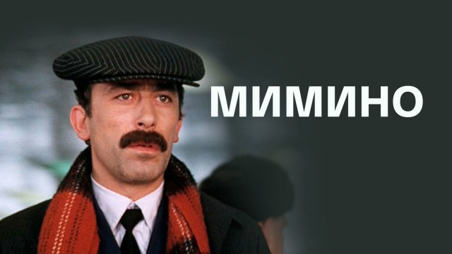 Дадим котику имя, коллеги?