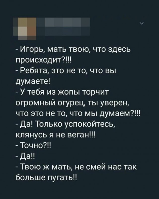Картинки для деградации 259 (разной степени свежести)