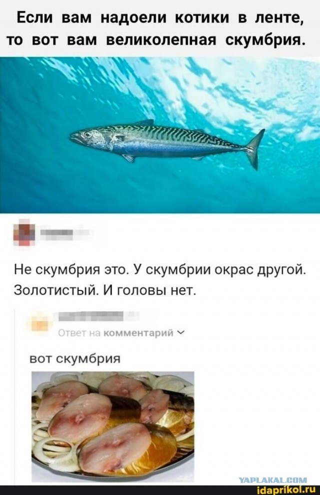 Теперь у тебя проблемы будут