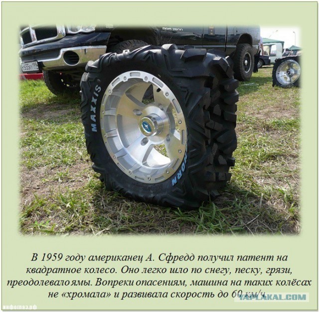 28 фактов, знание которых сделают вас