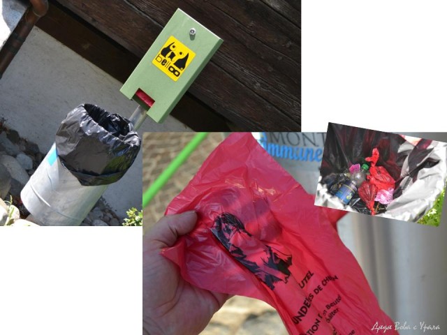 В поисках музея ПрофессораПлейшнера