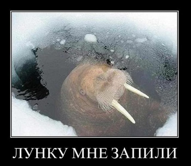 Картинки разные