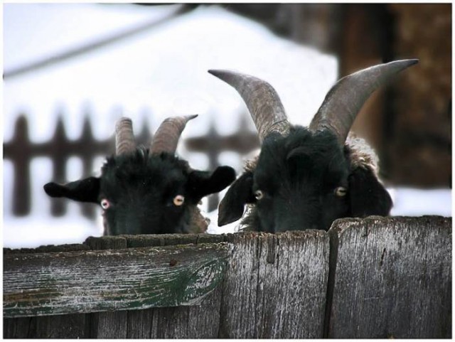 С 2016 года возможен тотальный контроль покупок