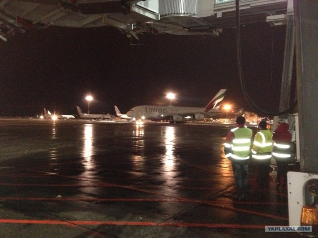 Новогодний чес