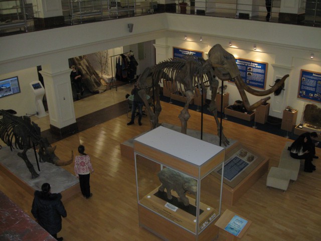 Зимники ЯНАО и ХМАО