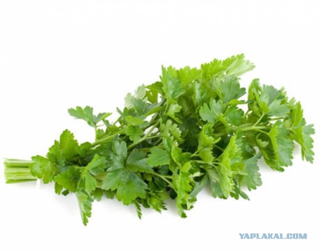 Итальянский диван своими руками или наш ответ санкциям