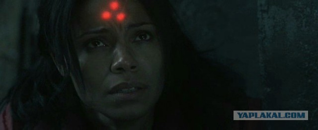 Лазерная указка и реакция животных на нее