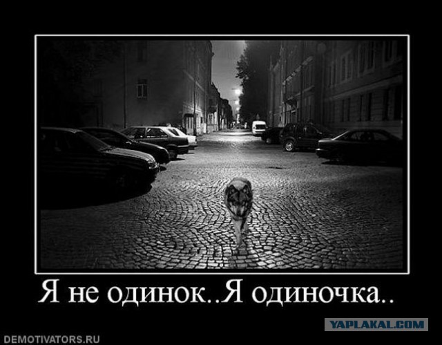 Почему вы один/одна?