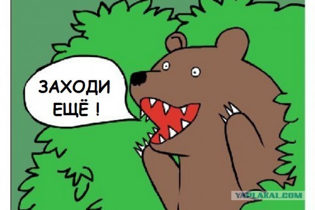 29-летняя туристка месяц блуждала в лесах.