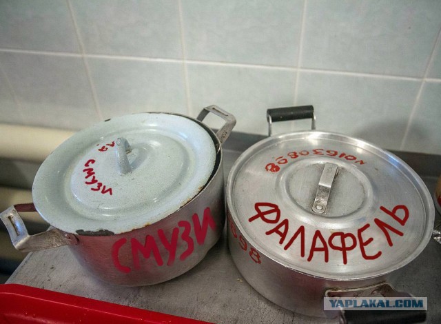 Живодерки из Хабаровска
