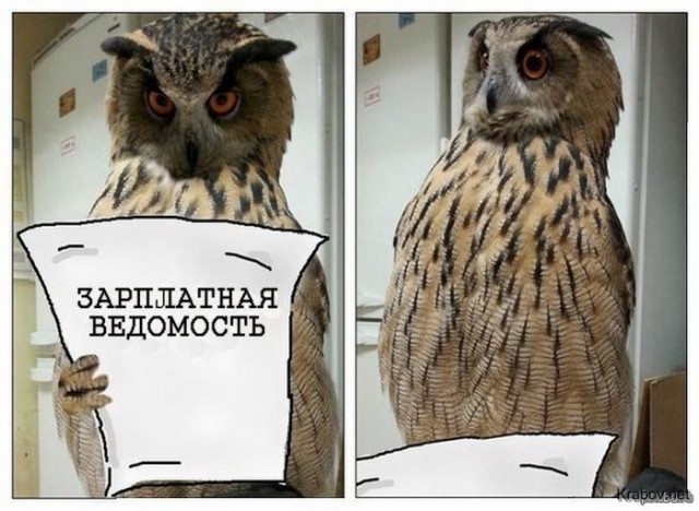 Абсурд зашкаливает