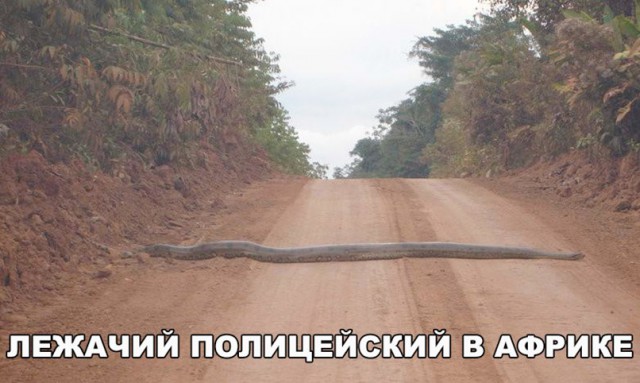 Всякая всячина