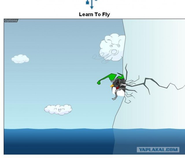 Learn To Fly