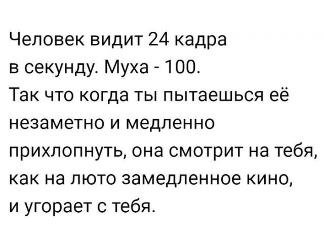 От работы отдохни, в картинки загляни!