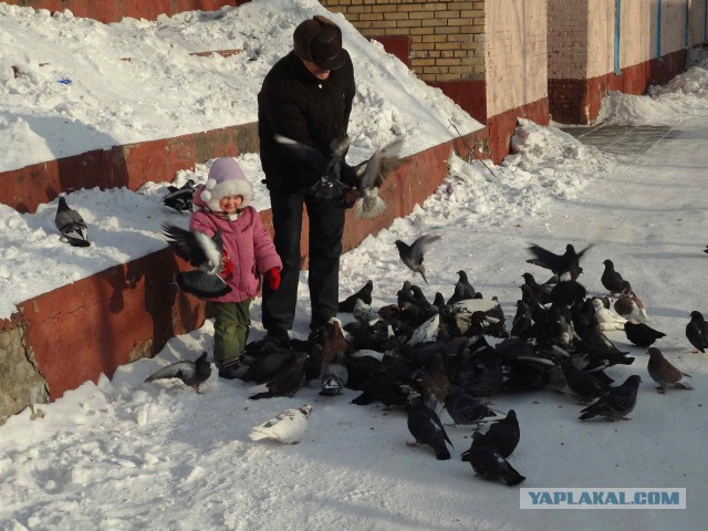 Я живу в Тынде