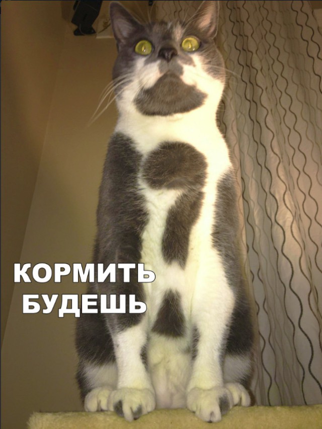 Нестандартный юмор
