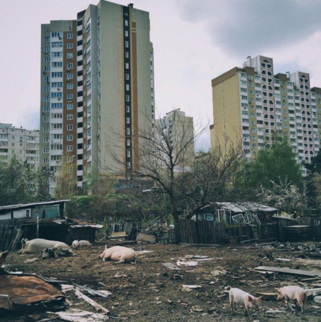 Тоска городских окраин