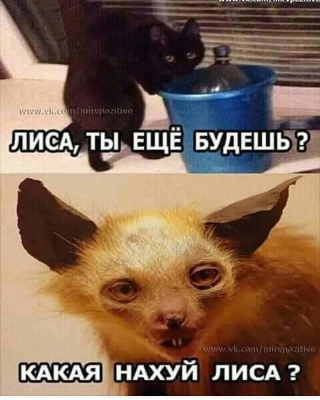 Бредзона 06.02.2020