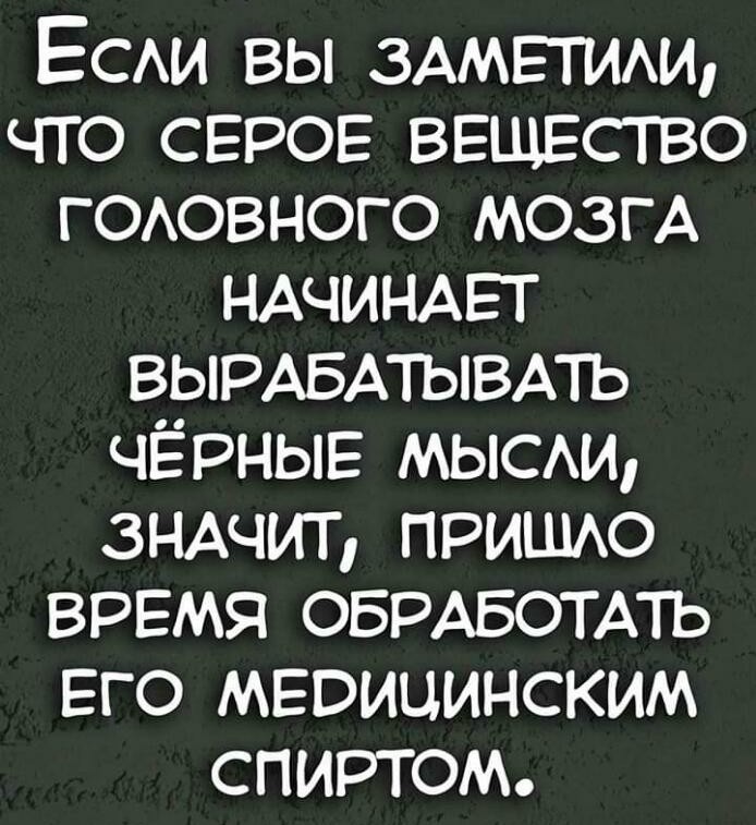 Прикольные картинки 21.02.2002
