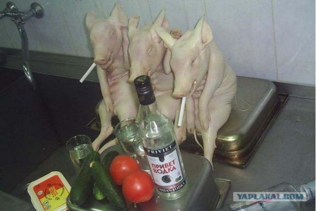 Фотожаба: Троица!