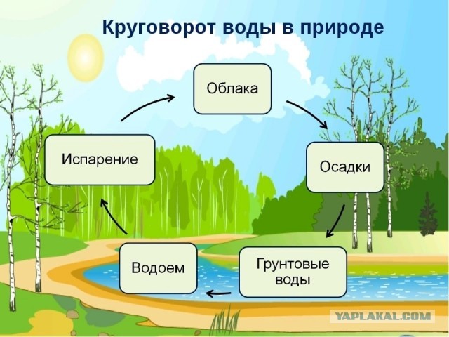 Ученые заявляют: идеи чиновников по водному кризису в Крыму направлены только на «освоение денег"