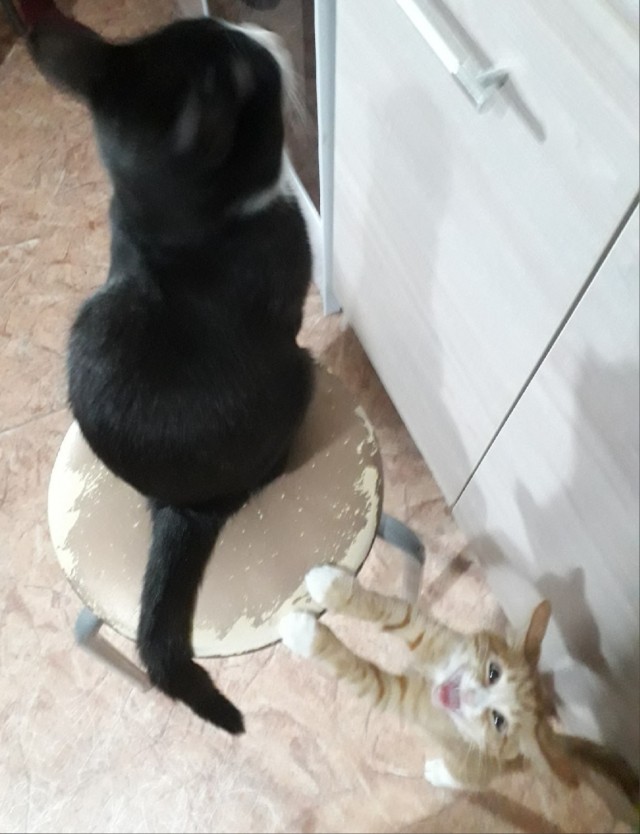Добрые картинки 28.11.20