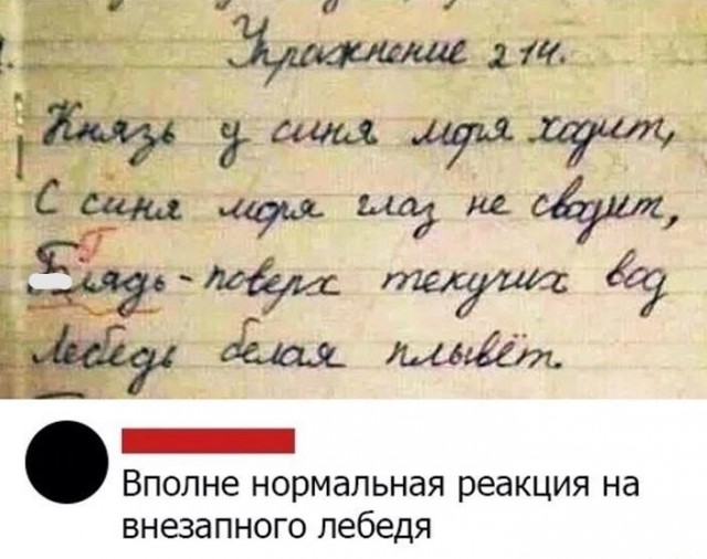 Бредзона 04.02.21